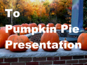 Pumpkin Field thmb.jpg - 31320 Bytes